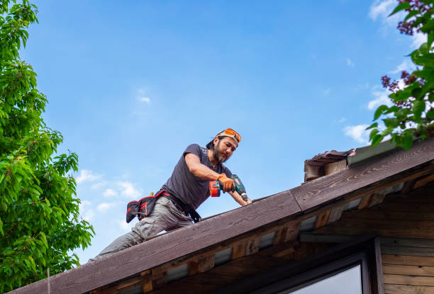 Best Roof Leak Repair  in La Grange, IL