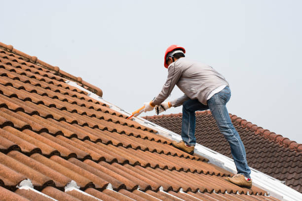 Best Metal Roofing Installation  in La Grange, IL