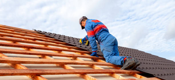 Best Rubber Roofing (EPDM, TPO)  in La Grange, IL