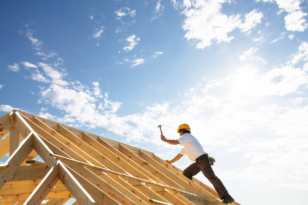 Professional  Roofing repair and installation in La Grange, IL
